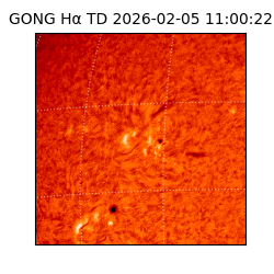 gong - 2026-02-05T11:00:22