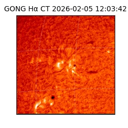 gong - 2026-02-05T12:03:42