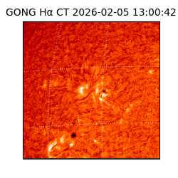 gong - 2026-02-05T13:00:42