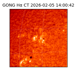 gong - 2026-02-05T14:00:42