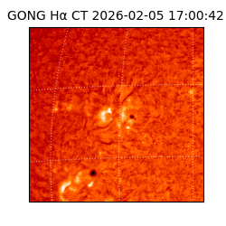 gong - 2026-02-05T17:00:42