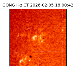 gong - 2026-02-05T18:00:42