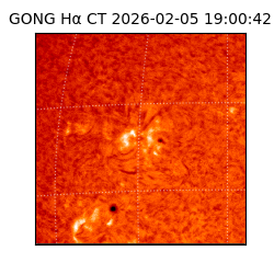 gong - 2026-02-05T19:00:42