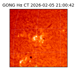 gong - 2026-02-05T21:00:42