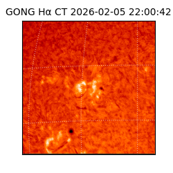 gong - 2026-02-05T22:00:42