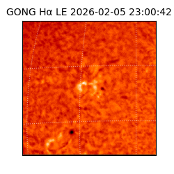 gong - 2026-02-05T23:00:42