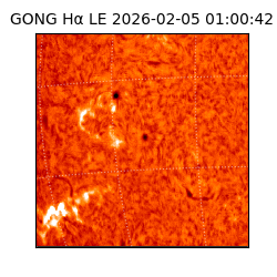 gong - 2026-02-05T01:00:42