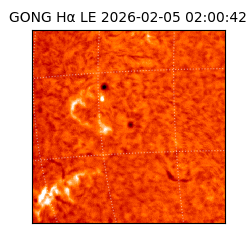 gong - 2026-02-05T02:00:42