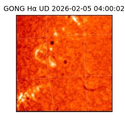 gong - 2026-02-05T04:00:02