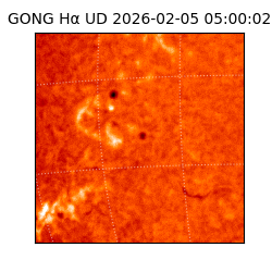 gong - 2026-02-05T05:00:02