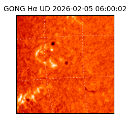 gong - 2026-02-05T06:00:02