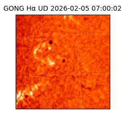 gong - 2026-02-05T07:00:02