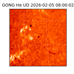 gong - 2026-02-05T08:00:02