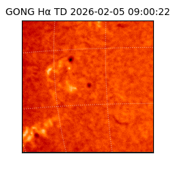 gong - 2026-02-05T09:00:22