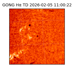 gong - 2026-02-05T11:00:22