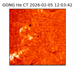 gong - 2026-02-05T12:03:42