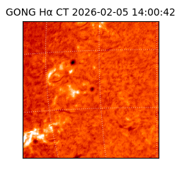 gong - 2026-02-05T14:00:42