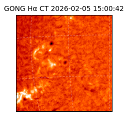 gong - 2026-02-05T15:00:42