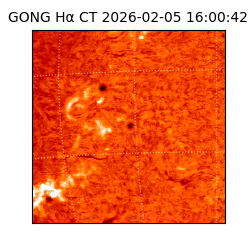 gong - 2026-02-05T16:00:42