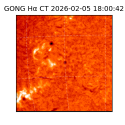 gong - 2026-02-05T18:00:42