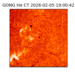 gong - 2026-02-05T19:00:42