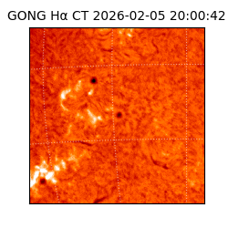 gong - 2026-02-05T20:00:42