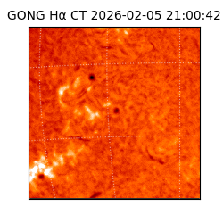 gong - 2026-02-05T21:00:42