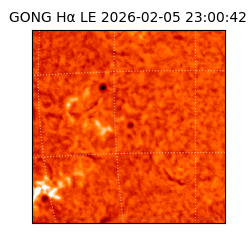 gong - 2026-02-05T23:00:42