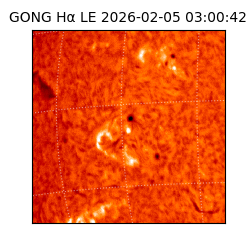 gong - 2026-02-05T03:00:42