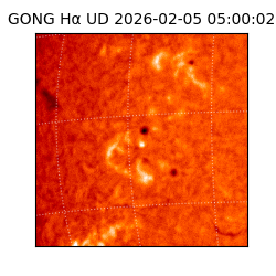 gong - 2026-02-05T05:00:02