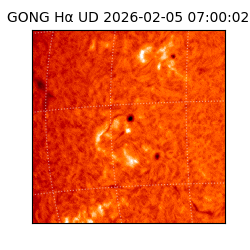 gong - 2026-02-05T07:00:02