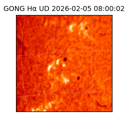 gong - 2026-02-05T08:00:02