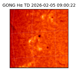 gong - 2026-02-05T09:00:22