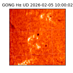 gong - 2026-02-05T10:00:02