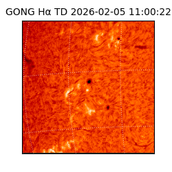 gong - 2026-02-05T11:00:22