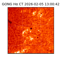 gong - 2026-02-05T13:00:42