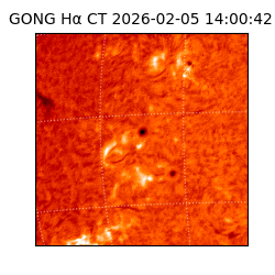 gong - 2026-02-05T14:00:42