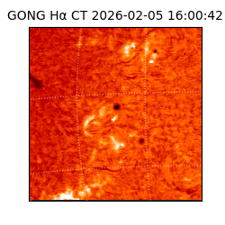 gong - 2026-02-05T16:00:42