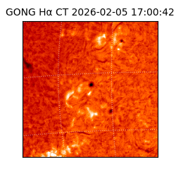 gong - 2026-02-05T17:00:42