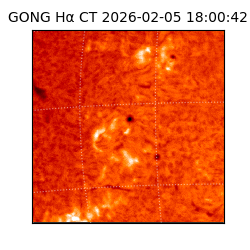 gong - 2026-02-05T18:00:42