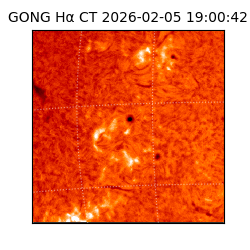 gong - 2026-02-05T19:00:42