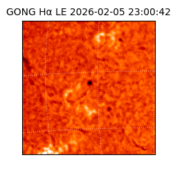 gong - 2026-02-05T23:00:42