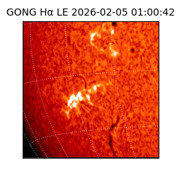 gong - 2026-02-05T01:00:42