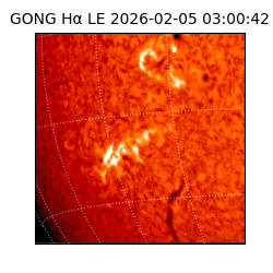 gong - 2026-02-05T03:00:42