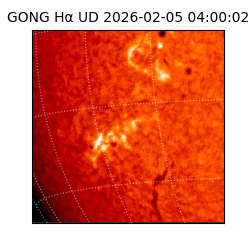 gong - 2026-02-05T04:00:02