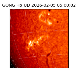 gong - 2026-02-05T05:00:02