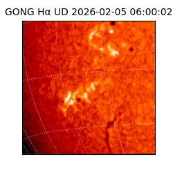 gong - 2026-02-05T06:00:02