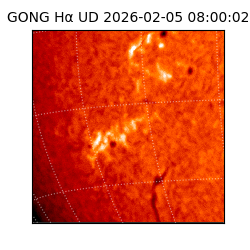 gong - 2026-02-05T08:00:02