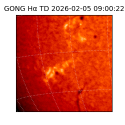 gong - 2026-02-05T09:00:22