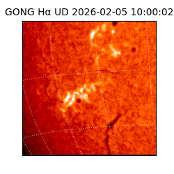 gong - 2026-02-05T10:00:02